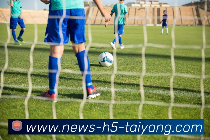 太阳城平台生态图